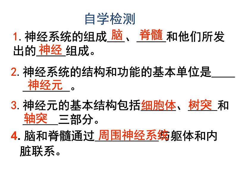 人教版生物七年级下册  4.6.2神经系统的组成  课件（28张PPT）07