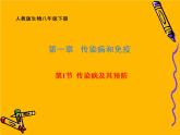 人教版生物八年级下册 8.1.1 传染病及其预防 课件（36张PPT）
