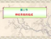 人教版生物七年级下册 4.6.2 神经系统的组成  课件（37张PPT）