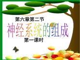 人教版生物七年级下册 4.6.2神经系统的组成（第1课时）课件  （25张PPT）