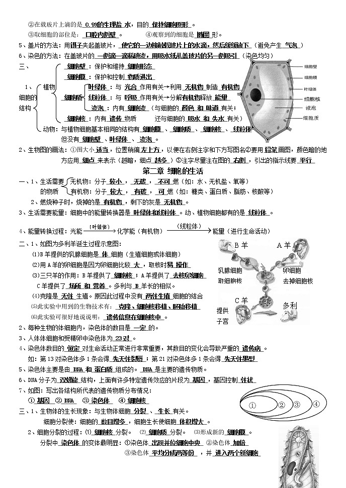 七年级生物复习知识点整理第3页