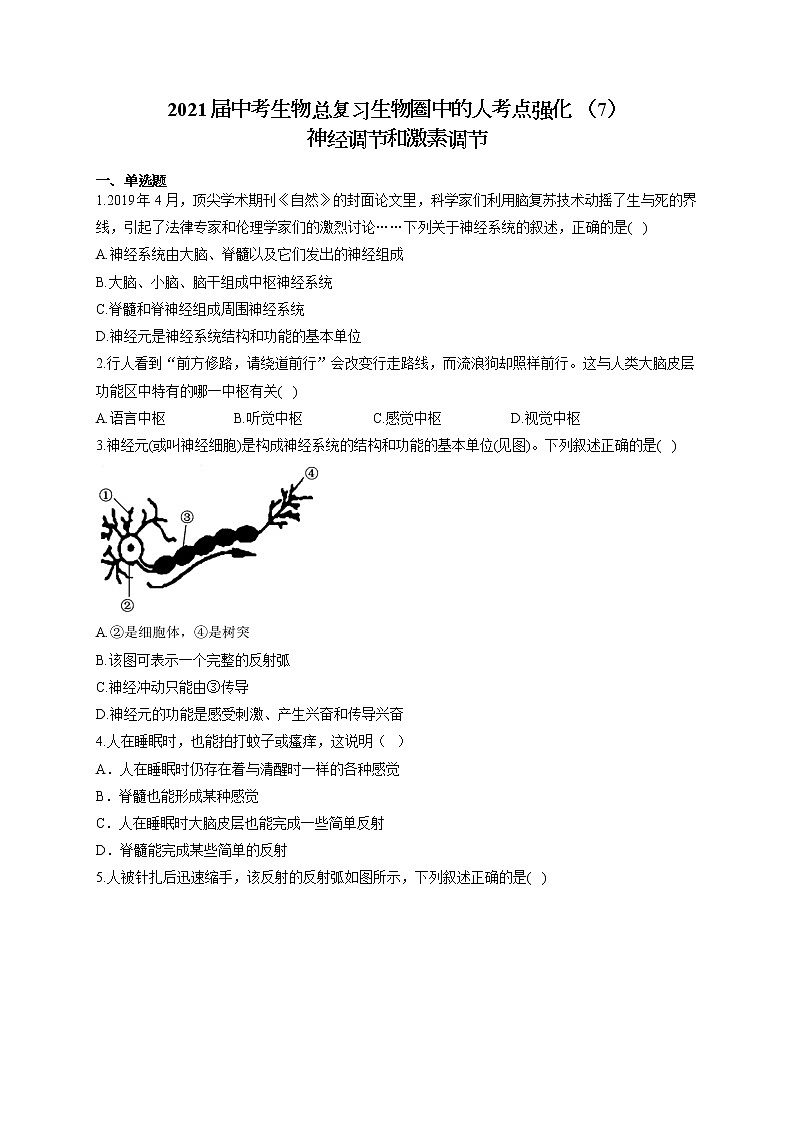 2021届中考生物总复习生物圈中的人考点强化 （7）神经调节和激素调节 试卷01