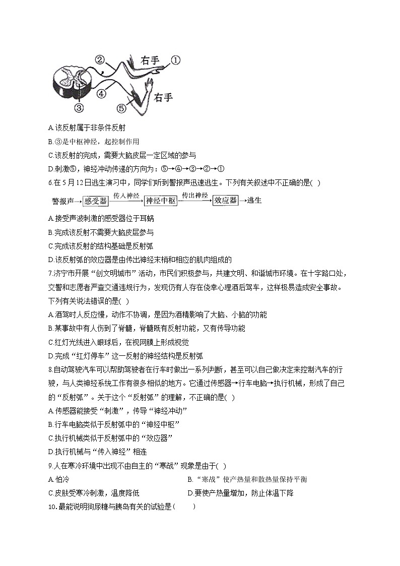 2021届中考生物总复习生物圈中的人考点强化 （7）神经调节和激素调节 试卷02