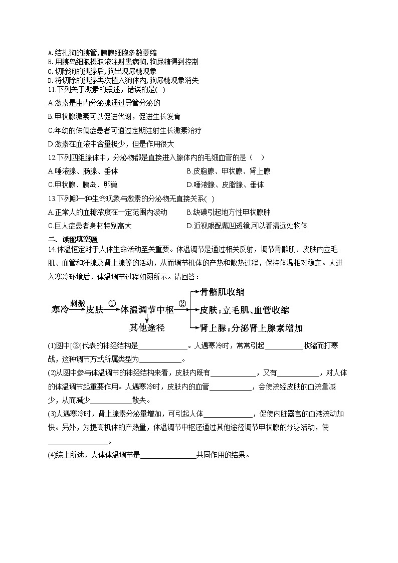 2021届中考生物总复习生物圈中的人考点强化 （7）神经调节和激素调节 试卷03