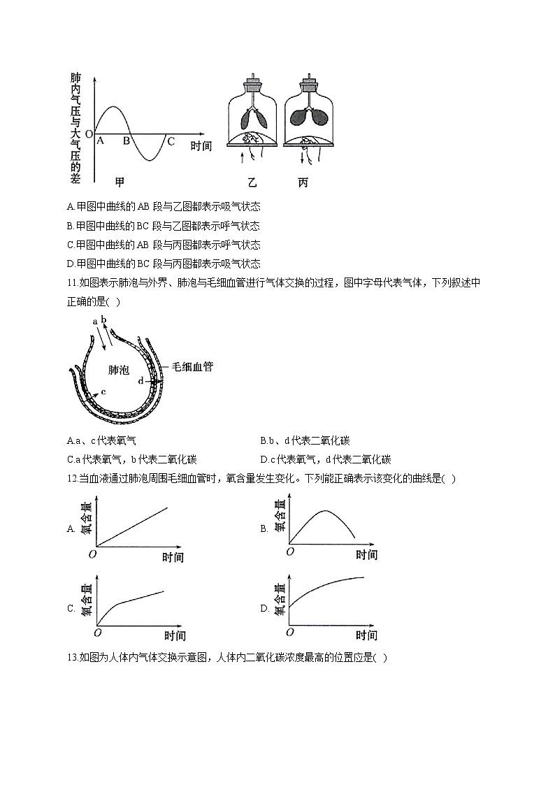 2021届中考生物总复习生物圈中的人考点强化 （2）人体的呼吸 试卷03