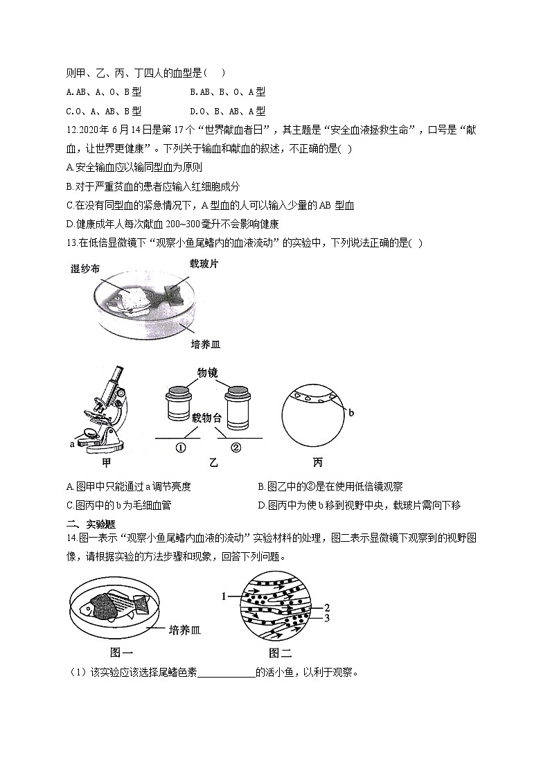 2021届中考生物总复习生物圈中的人考点强化 （3）血液、血管和血型、输血 试卷03