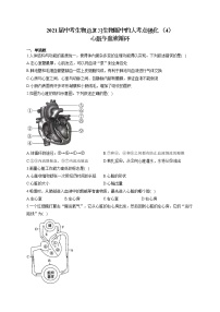 2021届中考生物总复习生物圈中的人考点强化 （4）心脏与血液循环