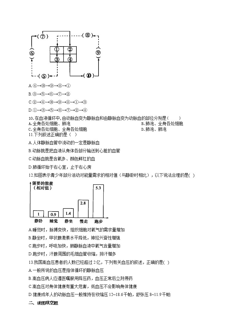2021届中考生物总复习生物圈中的人考点强化 （4）心脏与血液循环 试卷03
