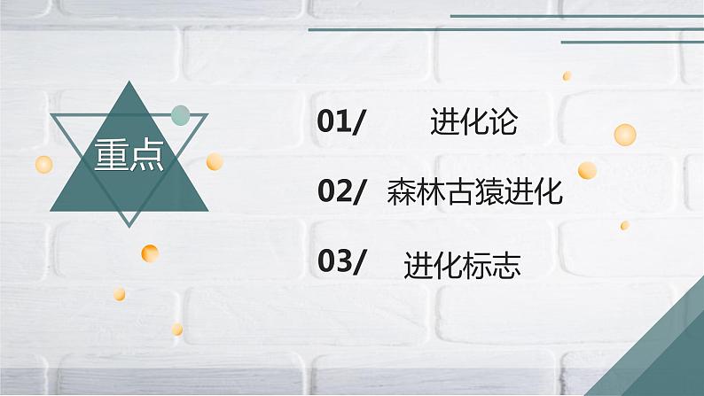 2020--2021学年人教版生物七年级下册 4.1.1 人类的起源和发展 课件（37张PPT）第2页