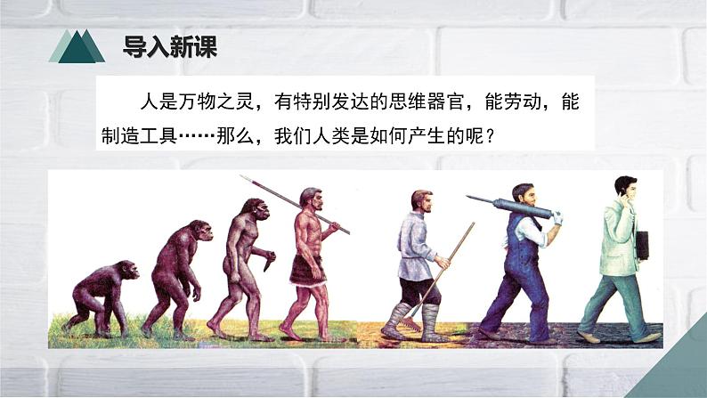 2020--2021学年人教版生物七年级下册 4.1.1 人类的起源和发展 课件（37张PPT）第4页