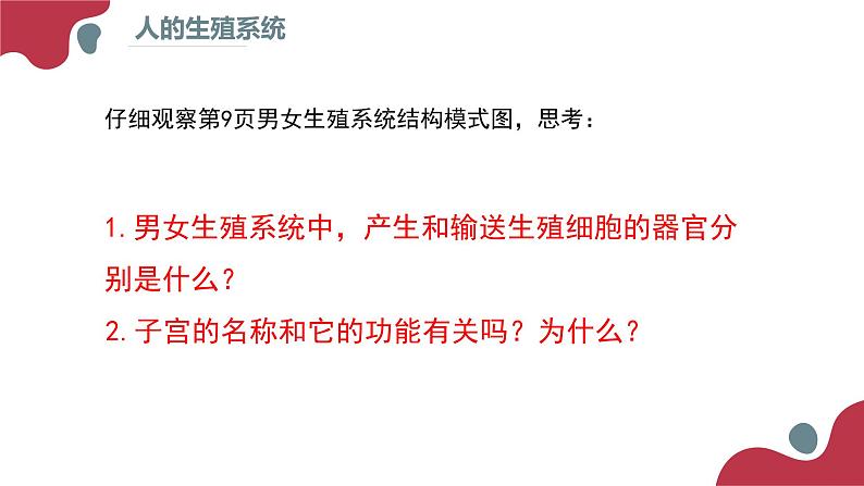 2020--2021学年人教版生物七年级下册 4.1.2人的生殖  课件 （36张PPT）06