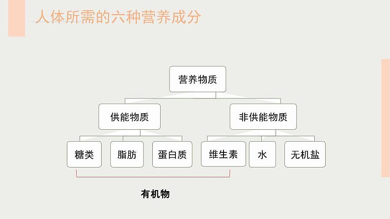 2020--2021学年人教版生物七年级下册 4.2.1 食物中的营养物质 课件（38张PPT）第5页