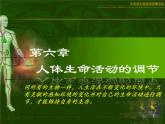 人教版七年级下册生物课件第四单元 第六章第一节人体对外界环境的感知（共38张PPT）