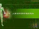 人教版七年级下册生物课件第四单元 第六章第一节人体对外界环境的感知（共38张PPT）