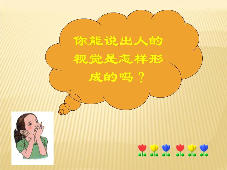 人教版七年级下册生物课件第四单元 第六章第一节人体对外界环境的感知（共38张PPT）第7页