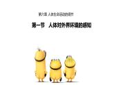 2020—2021学年人教版生物七年级下册课件 4.6.1 人体对外界环境的感知课件 （30张PPT）