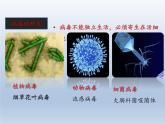 人教版 (新课标) 八年级上册 第五单元 生物圈中的其他生物 第五章 病毒（课件+微课）（打包2份）