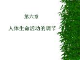 人教版生物七年级下册4.6.1 人体对外界环境的感知 课件（27张PPT）