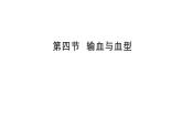 人教版七年级下册4.4 输血和血型课件（23张PPT）