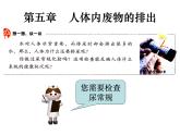 2020—2021学年人教版生物七年级下册 第四单元第五章人体内废物的排出 课件（24张PPT）