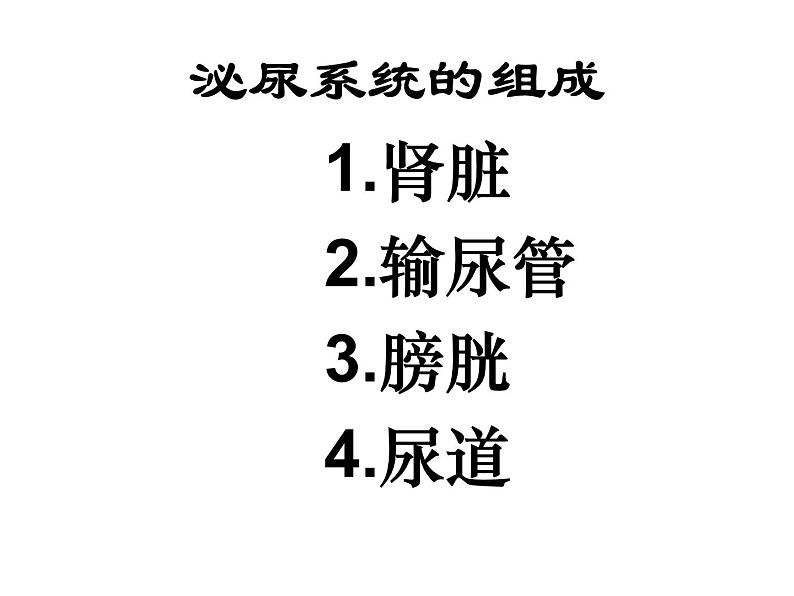 2020—2021学年人教版生物七年级下册 第四单元第五章人体内废物的排出 课件（24张PPT）第4页