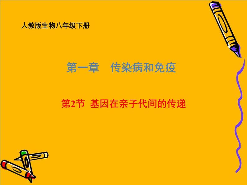 2020-2021学年人教版生物八年级下册7.2.2 基因在亲子代间的传递 课件01