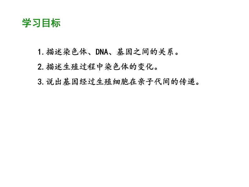 2020-2021学年人教版生物八年级下册7.2.2 基因在亲子代间的传递 课件02