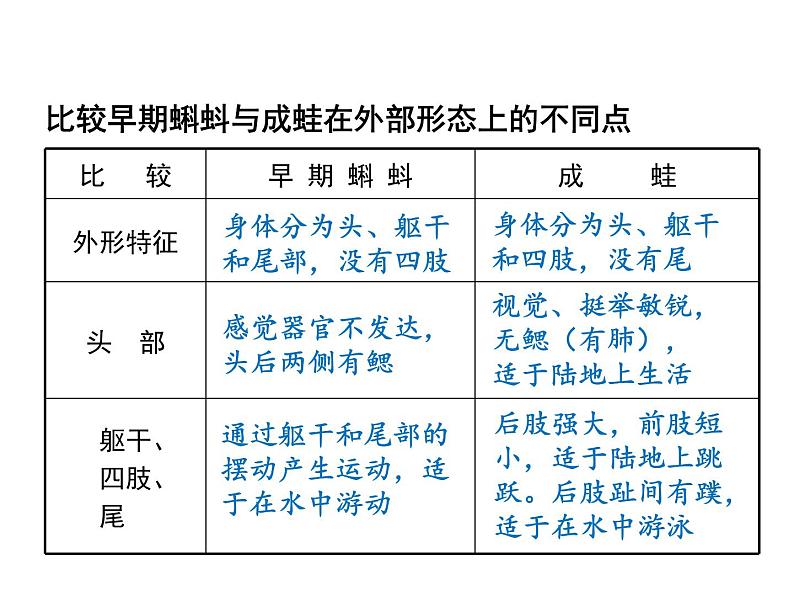 2020-2021学年人教版生物八年级下册 7.1.3 两栖动物的生殖和发育 课件08