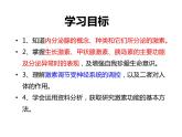 人教版生物七年级下册 4.6.4 激素调节 课件（24张PPT）