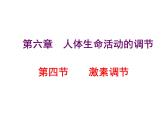 人教版生物七年级下册 4.6.4 激素调节 课件（28张PPT）