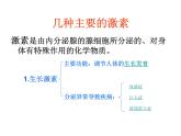 人教版生物七年级下册 4.6.4 激素调节 课件（28张PPT）