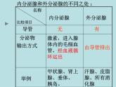 人教版生物七年级下册 4.6.4 激素调节 课件（20张PPT）
