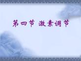 人教版生物七年级下册 4.6.4 激素调节课件（23张PPT） (1)