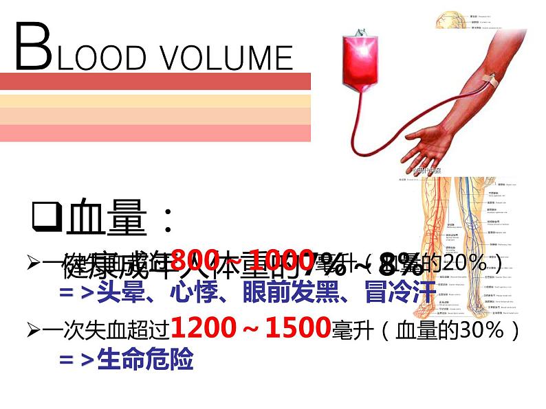 人教版七年级生物下册 4.4.4  输血与血型 课件（17张PPT）03