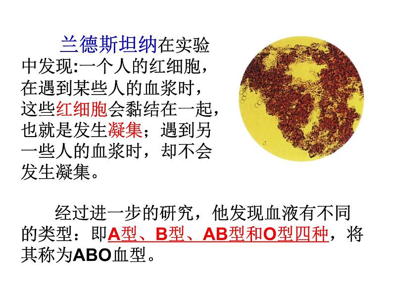 人教版生物七年级下册 4.4.4 输血和血型  课件 （20张PPT）08