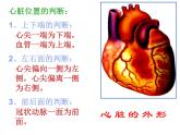 人教版生物七年级下册 4.4.3 输送血液的泵——心脏 课件 （15张PPT）