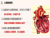 人教版生物七年级下册 4.4.3 输送血液的泵——心脏 （第1课时）课件（16张PPT）