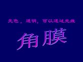 2020—2021学年人教版生物七年级下册4.6.1人体对外界环境的感知 课件（14张PPT）
