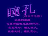 2020—2021学年人教版生物七年级下册4.6.1人体对外界环境的感知 课件（14张PPT）