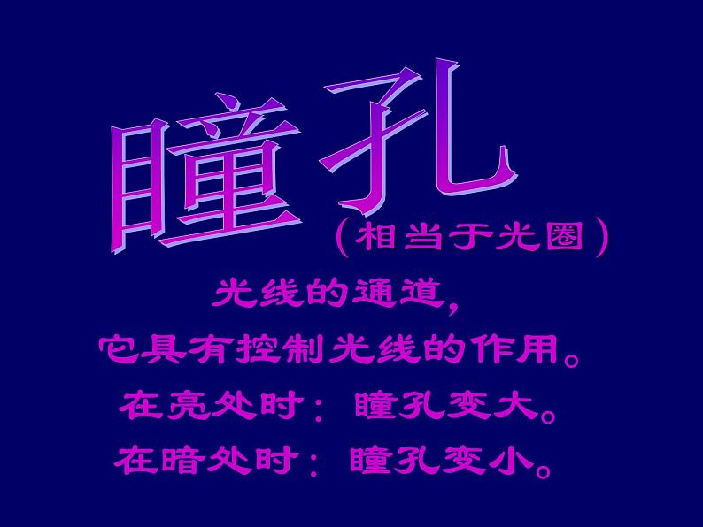 2020—2021学年人教版生物七年级下册4.6.1人体对外界环境的感知 课件（14张PPT）第5页