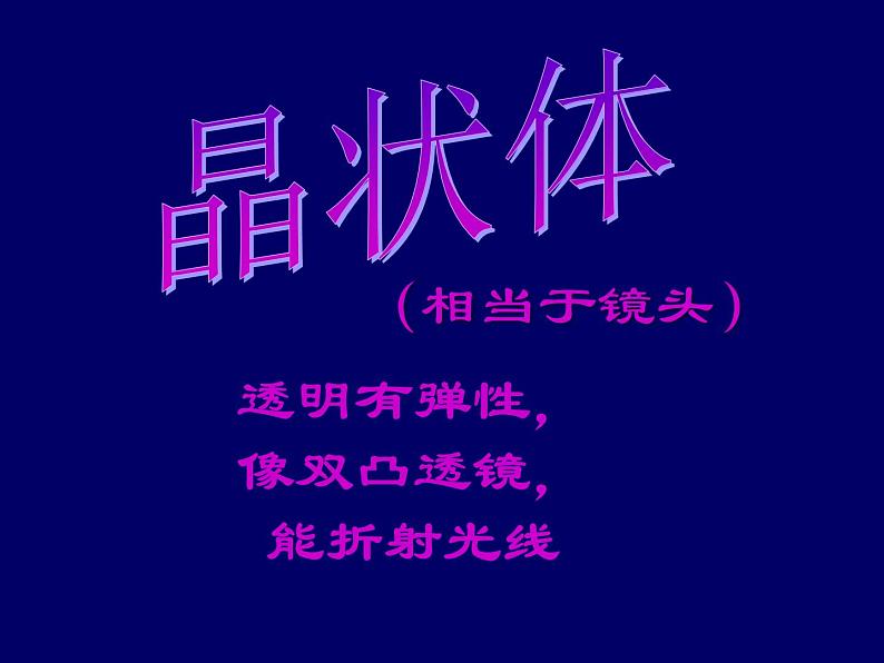 2020—2021学年人教版生物七年级下册4.6.1人体对外界环境的感知 课件（14张PPT）第7页