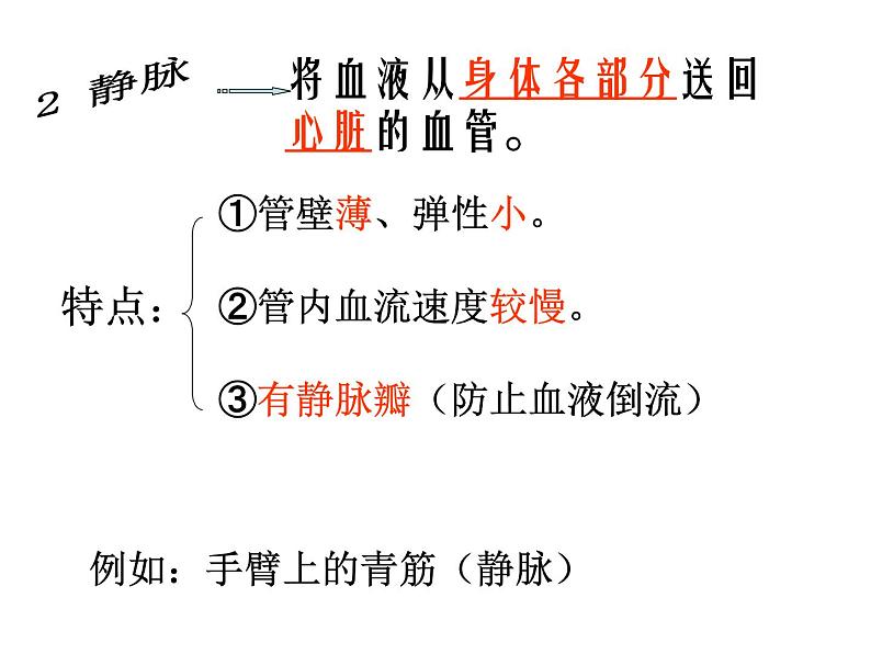 人教版生物七年级下册4.4. 2血流的管道——血管 课件 （21张PPT）07