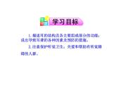 2020—2021学年人教版生物七年级下册 4.6.1 人体对外界环境的感知 （第2课时）课件（18张PPT）