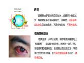 第一节 传染病及其预防 课件PPT