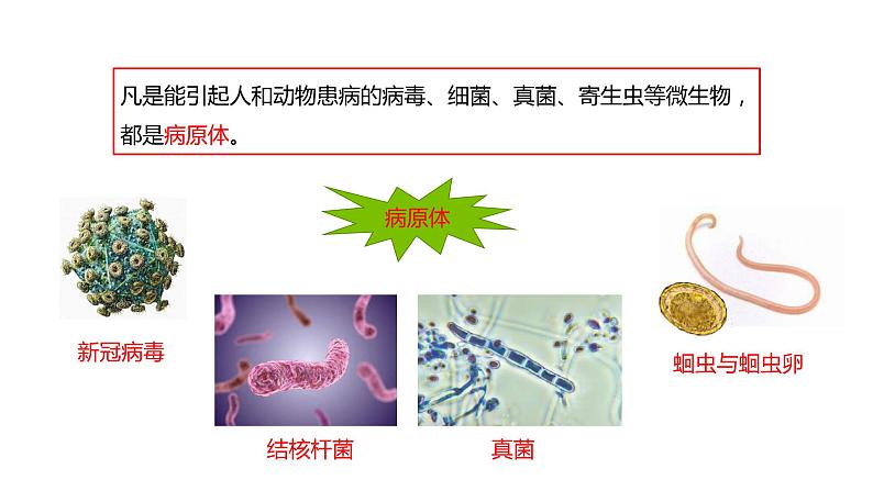 第一节 传染病及其预防 课件PPT07