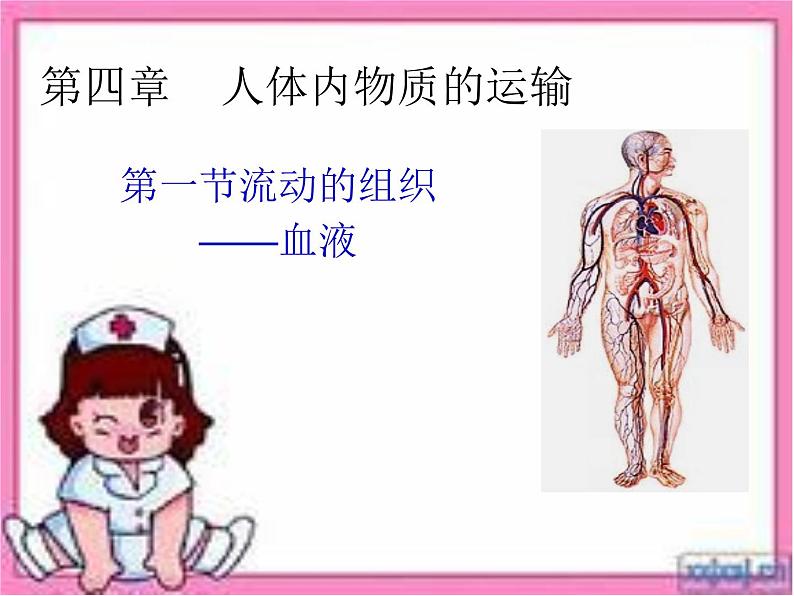 人教版生物七年级下册4.4.1 流动的组织——血液课件（27张PPT）02