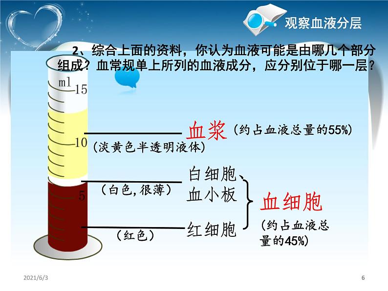 人教版生物七年级下册4.4.1 流动的组织——血液课件（24张PPT） (1)06