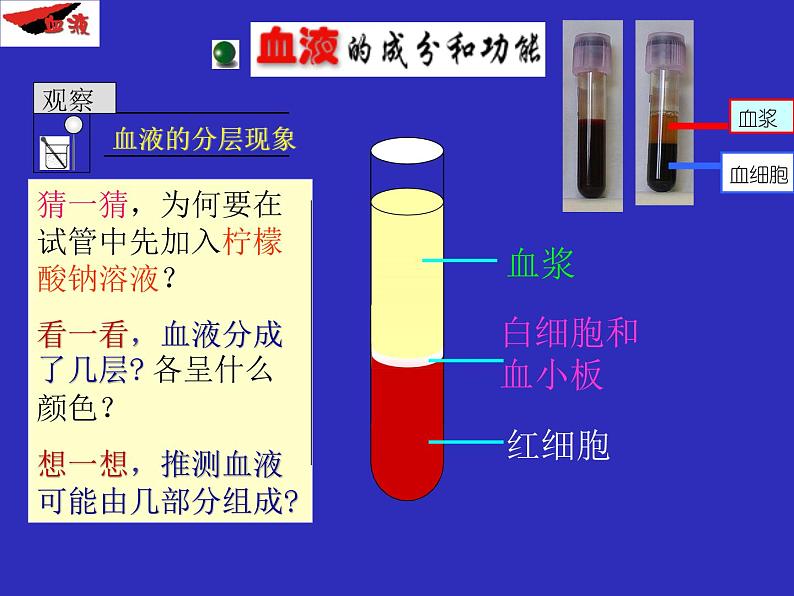 人教版生物七年级下册4.4.1 流动的组织——血液课件（25张PPT）03