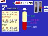 人教版生物七年级下册4.4.1 流动的组织——血液课件（25张PPT）