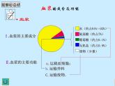 人教版生物七年级下册4.4.1 流动的组织——血液课件（25张PPT）